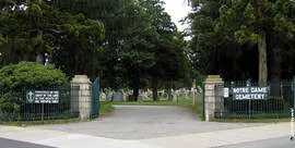 Image description