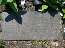Image description